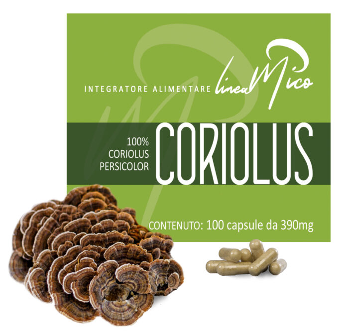 Coriolus versicolor