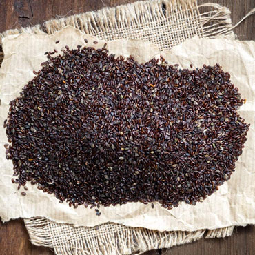 Psillio seme scuro intero (plantago Psyllium)