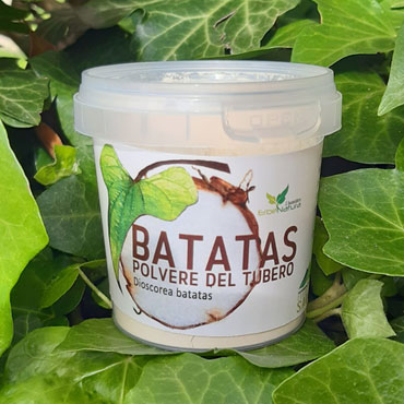 BATATAS - Igname cinese - Dioscorea batatas polvere