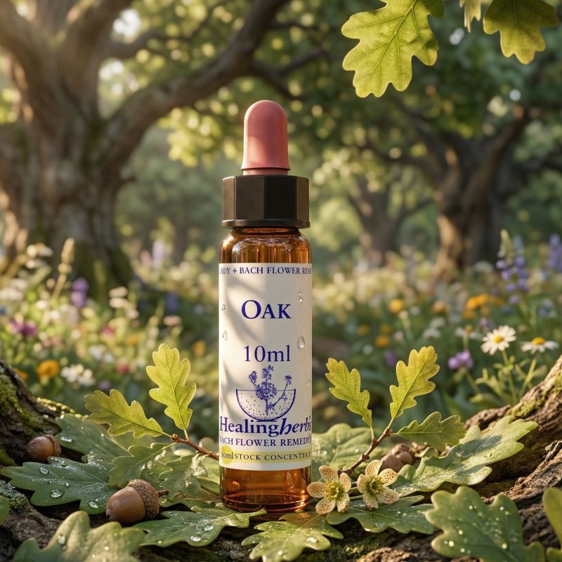 oak healing herbs