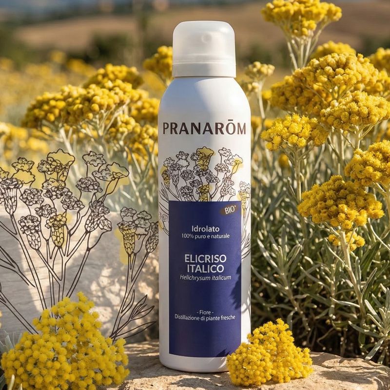 elicriso italico idrolato pranarom