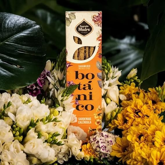 61UjgVDFQdL._AC_SX569_