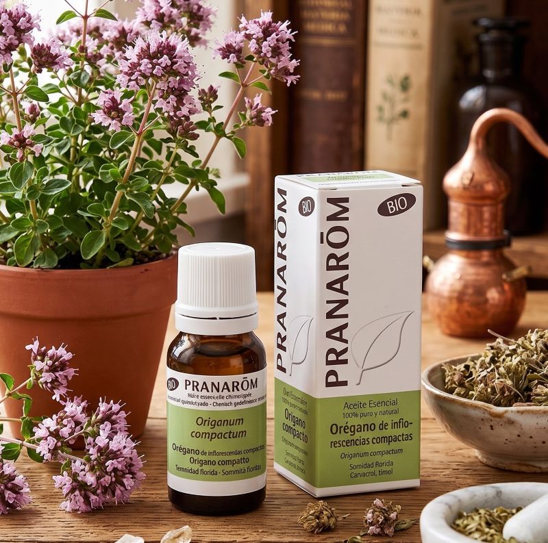 origano olio essenziale pranarom