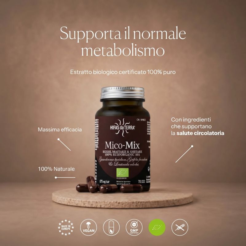 Mico-Mix <br> Hifas da Terra