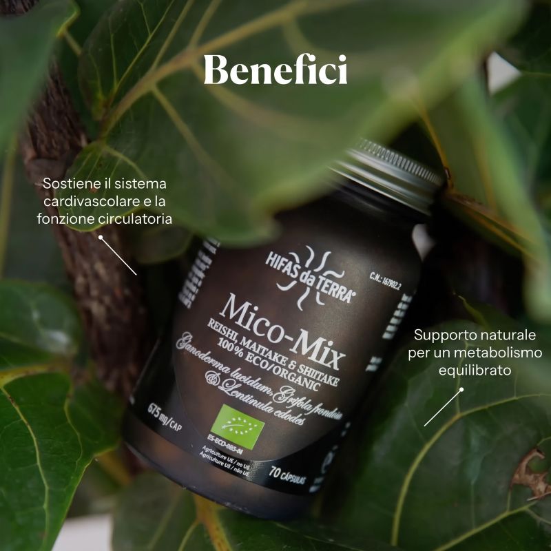Mico-Mix <br> Hifas da Terra
