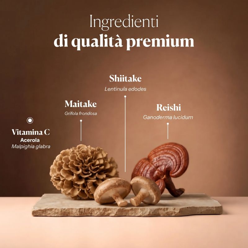 Mico-Mix <br> Hifas da Terra