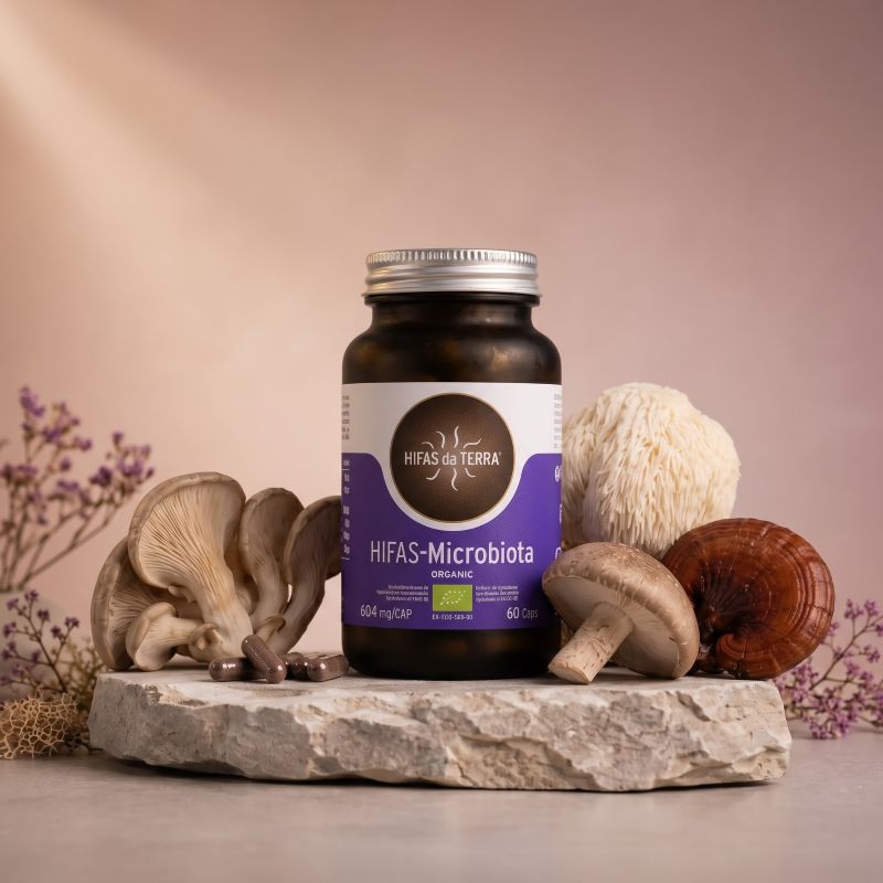 Hifas-Microbiota <br>Hifas da Terra